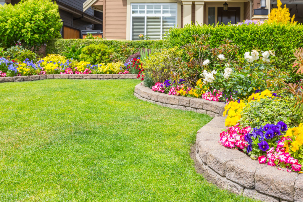 nicely trimmed plants in front lawn with stone border