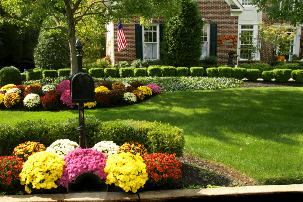 Mailbox surrounded by colorful flowerbed next to green lawn