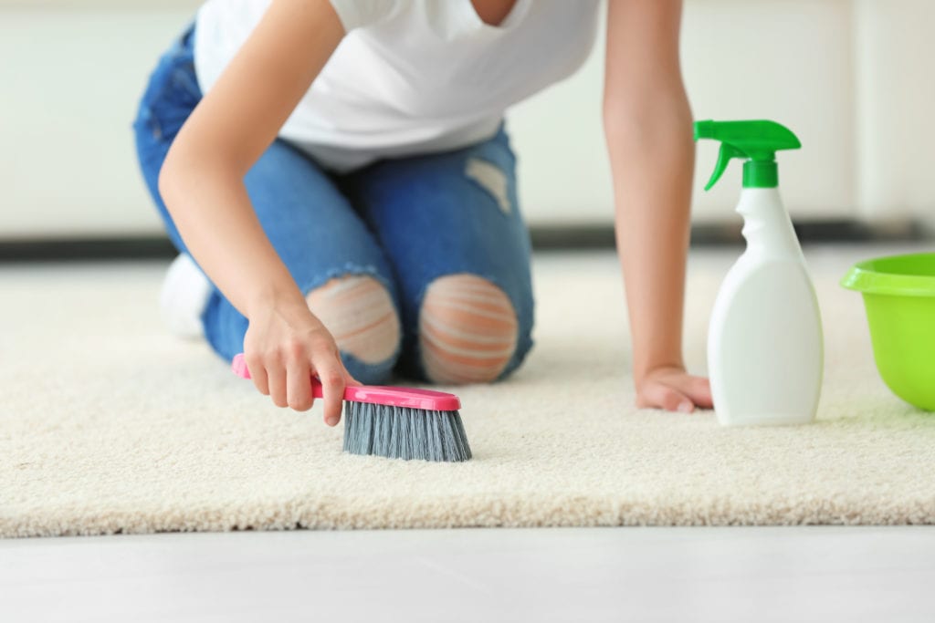 Young woman deep cleans her carpet with cleaning solution and a scrub brush.